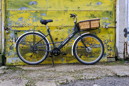 Farewell to the Elephant Bikes