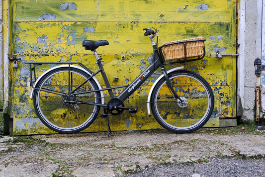 Farewell to the Elephant Bikes
