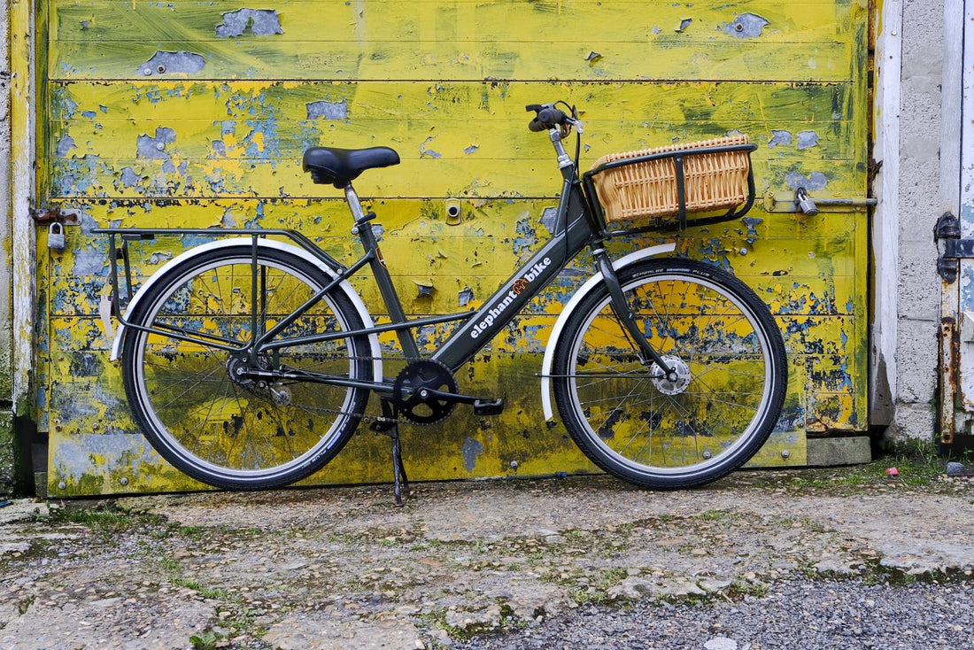 Farewell to the Elephant Bikes