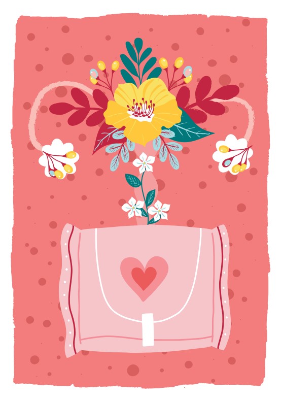 Fabric Sanitary Towel Pack Gift